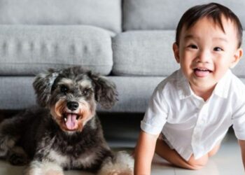 Dạy con chơi với thú cưng an toàn