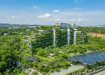 Lợi nhuận Flamingo giảm gần một nửa