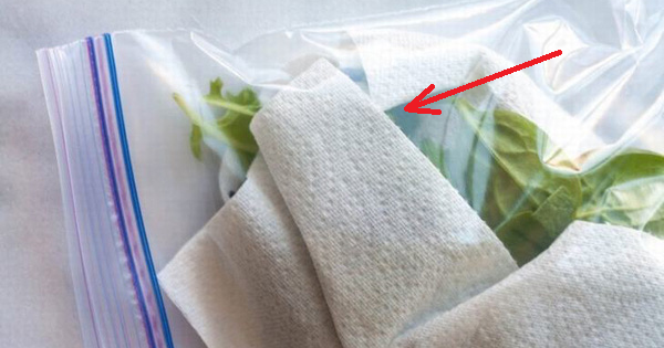 Rau mua về đừng cho thẳng vào tủ lạnh, chỉ cần cho thêm 1 tờ giấy: Kết quả khiến nhiều người bất ngờ!