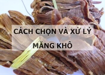 Mách chị em nội trợ cách chọn và xử lý măng khô an toàn