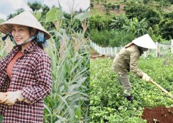 Nữ ca sĩ bỏ phố về rừng, thoát bệnh trầm cảm nhờ “sống xanh” cùng chồng nhạc sĩ trong nhà vườn 2.000m2