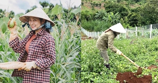 Nữ ca sĩ bỏ phố về rừng, thoát bệnh trầm cảm nhờ “sống xanh” cùng chồng nhạc sĩ trong nhà vườn 2.000m2