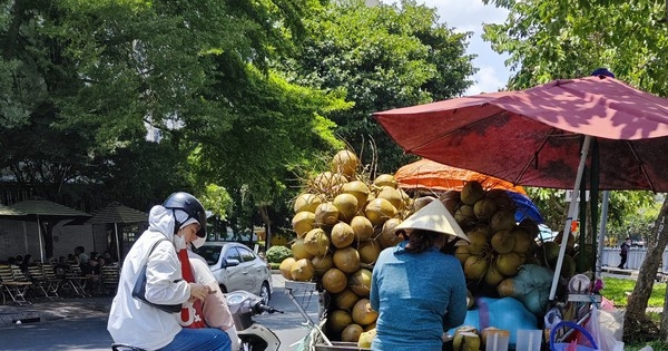 Một loại quả vừa tăng giá gấp đôi chỉ sau 1 tháng nắng nóng