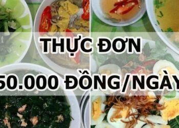 Gợi ý thực đơn 50.000 đồng/ngày đầy đủ dinh dưỡng