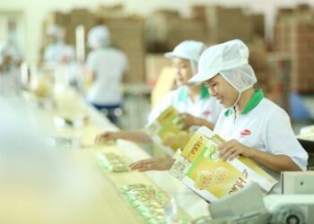 ĐHĐCĐ Bibica: Kế hoạch doanh thu kỷ lục, ước lợi nhuận quý I gấp 6 lần cùng kỳ