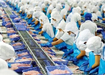 Vĩnh Hoàn định góp thêm 350 tỷ đồng vào công ty con