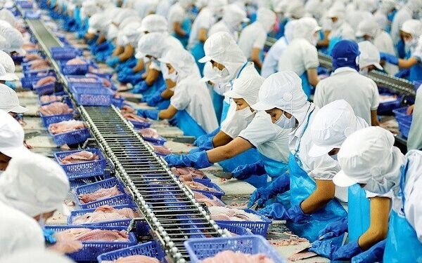 Vĩnh Hoàn định góp thêm 350 tỷ đồng vào công ty con