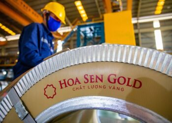 Hoa Sen chia cổ tức tiền mặt sau 5 năm