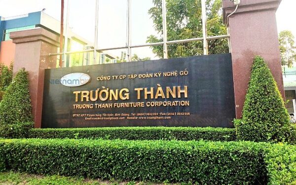 Gỗ Trường Thành lên kế hoạch lãi ròng 57 tỷ sau năm lỗ đậm
