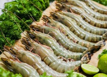 Biên lãi gộp của Sao Ta thu hẹp quý đầu năm