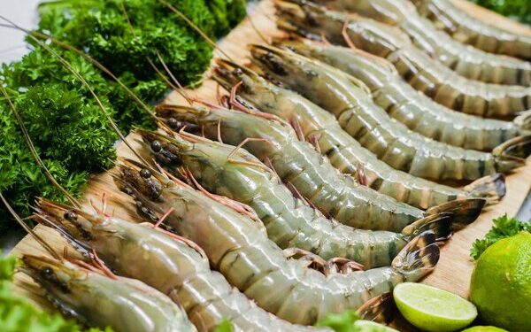Biên lãi gộp của Sao Ta thu hẹp quý đầu năm