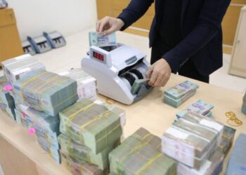 Giám sát hoạt động đầu tư vốn nhà nước vào doanh nghiệp