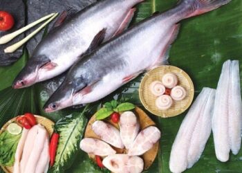 Lợi nhuận quý I của Thuỷ sản Nam Việt giảm 82%