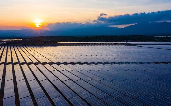Trung Nam kêu cứu về dự án điện mặt trời tại Ninh Thuận