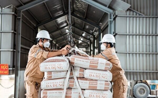 Xi măng Vicem Hà Tiên lại lỗ