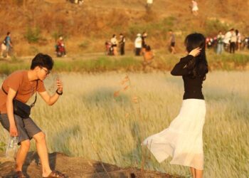 Đồng cỏ lau ở ngoại ô TPHCM đẹp như tranh khiến giới trẻ mê mẩn