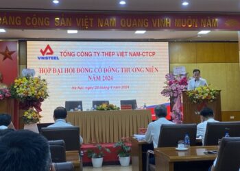 ĐHĐCĐ Tổng Công ty Thép: Tiêu thụ thép năm 2024 có thể phục hồi yếu, dự không chia cổ tức