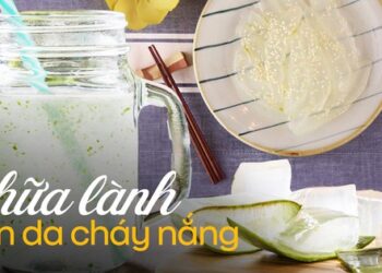 Loại lá quen thuộc được coi là “thần dược” cứu làn da, mang làm đồ uống hay món ăn chống nắng đều tốt mà chẳng mấy người thử