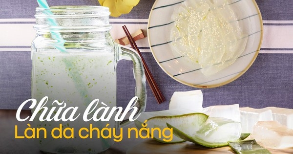 Loại lá quen thuộc được coi là “thần dược” cứu làn da, mang làm đồ uống hay món ăn chống nắng đều tốt mà chẳng mấy người thử