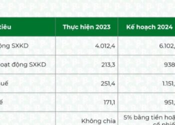 Bamboo Capital: Cần nguồn vốn 60.000 tỷ đồng trong 3 năm tới để làm các dự án BĐS và năng lượng