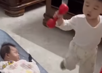 Mẹ dốc hết sức ru mãi em mới ngủ, anh làm hành động khiến ai nấy đứng hình: Đẻ mau nói chung cũng “nhàn”