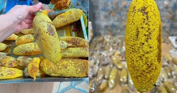 Mật ong ruồi tí hon giá tiền triệu/lít có gì độc lạ?