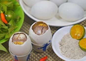 Luộc trứng vịt lộn cho thêm thứ này, trứng sẽ không tanh và rất ngon