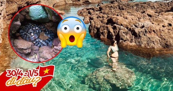 Bí kíp “mạnh khoẻ” khi đi Phú Quý: Cẩn thận với rắn độc, “sống ảo” cũng cần chú ý nhiều vấn đề