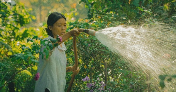 10 năm thanh xuân gom rơm, biến mảnh đất cằn thành khu vườn trù phú: Không thể kể hết các loại cây