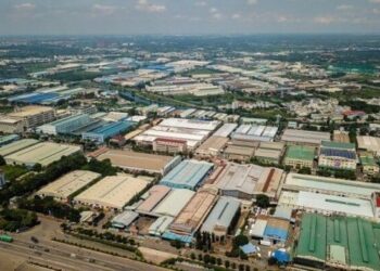 Tân Tạo, Thuduc House bị dừng làm thủ tục hải quan vì nợ thuế