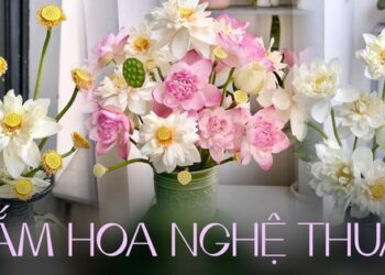 Cắm hoa sen nghệ thuật bằng cách vô cùng đơn giản, ai cũng làm được chỉ nhờ 1 món đồ giá vài nghìn đồng