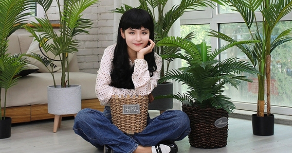 6 cách giúp bạn đẩy lùi mọi mùi hôi khó chịu trong nhà