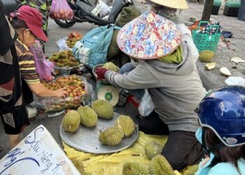 Loạn giá sầu riêng ở TPHCM