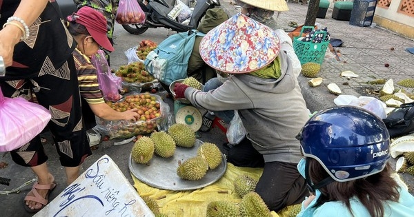 Loạn giá sầu riêng ở TPHCM