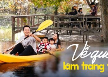 Cặp vợ chồng về quê mua đất làm trang trại: “Đây là quyết định đúng đắn nhất cho đến bây giờ của chúng tôi”