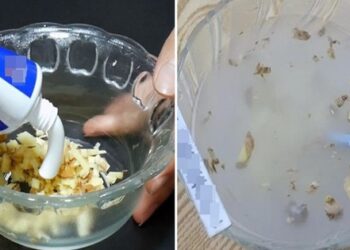 Hôm nay tôi mới biết cho kem đánh răng vào nước gừng lại “thần kỳ” đến vậy
