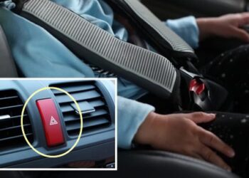 Nút bấm nhỏ xíu trên ô tô có thể cứu mạng trong tình huống khẩn cấp, bố mẹ nên dạy trẻ ngay lập tức