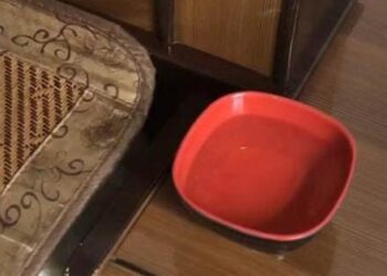 Đặt một bát nước ở góc nhà, muỗi và côn trùng sẽ tránh xa, không còn lởn vởn xung quanh nữa