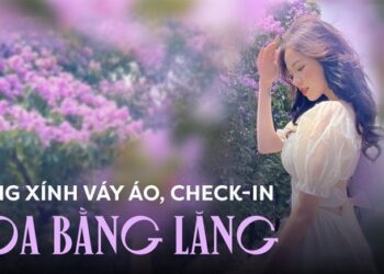 Check-in chuẩn “nàng thơ” cùng hoa bằng lăng: Diện váy áo thế nào để cứ giơ máy lên là có ảnh đẹp?