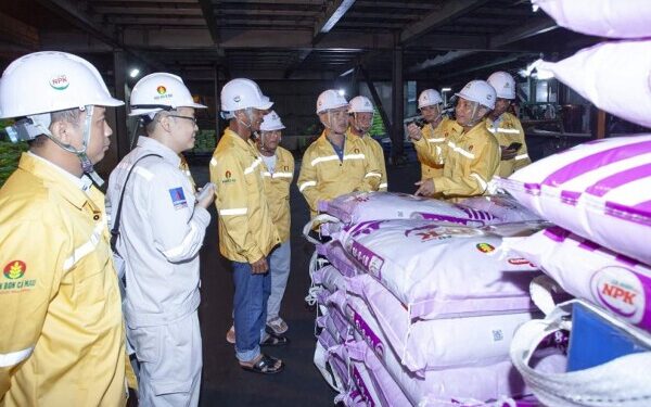 Đạm Cà Mau thâu tóm công ty phân bón vốn 2.000 tỷ đồng