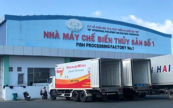 Thủy sản IDI sắp chia cổ tức 20%