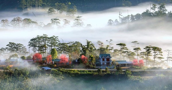 Phát hiện ngôi làng ẩn mình trong sương, là bối cảnh phim của nhà sản xuất Việt nghìn tỷ, ngay gần Đà Lạt