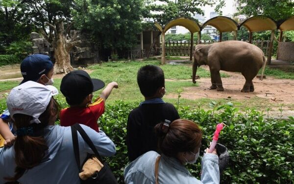 Sở thú lâu đời nhất Sài Gòn lãi kỷ lục quý đầu năm