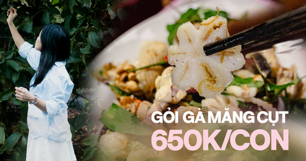 Trải nghiệm đến “xứ sở măng cụt” Lái Thiêu thăm vườn trái cây và ăn gỏi gà nức tiếng: Giá 650.000VNĐ/con liệu có thực sự đáng tiền?