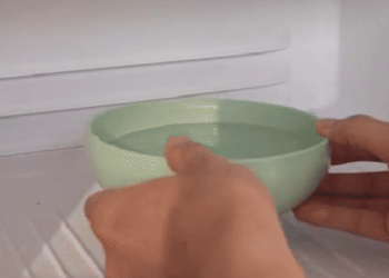 Cho một bát nước vào tủ lạnh và để qua đêm: Hành động nhỏ nhưng cực hữu ích, EVN cũng khuyên thực hiện