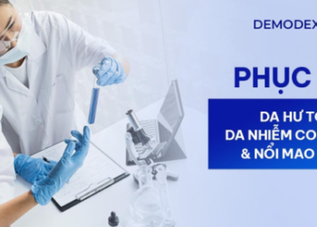 Demodexlab – Thương hiệu phục hồi da hư tổn uy tín tại Việt Nam
