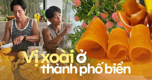Du lịch Nha Trang phải trải nghiệm vườn xoài “đào tiên” và ăn bánh xoài: Chẳng trách Park Hae Jin cùng hội bạn “xử” hết 25kg loại quả này tại thành phố biển