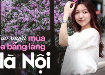 Loài hoa “tuyệt phẩm” mùa hè đã nhuộm tím cả Hà Nội, giới trẻ thi nhau check-in rồi sao bạn còn chưa đi?