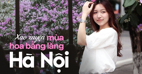 Loài hoa “tuyệt phẩm” mùa hè đã nhuộm tím cả Hà Nội, giới trẻ thi nhau check-in rồi sao bạn còn chưa đi?