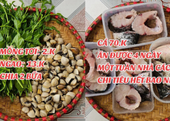 1 tuần đi chợ cho gia đình 4 người hết 264k ở Thái Bình: Giá ở nông thôn rẻ hay người nội trợ biết chi tiêu?